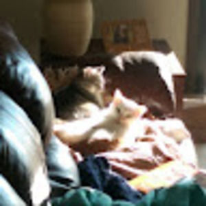 Meet your Posher, Tyler